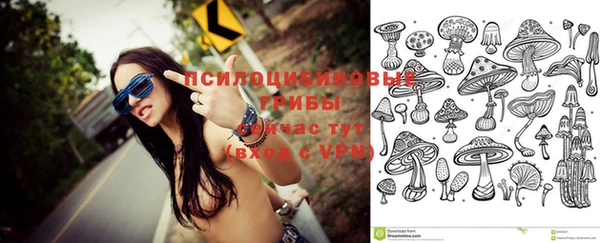 прущая мука Абаза