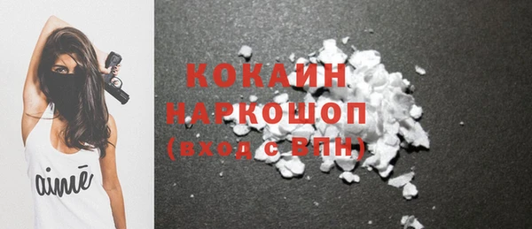 хмурый Новозыбков
