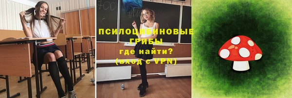 прущая мука Абаза