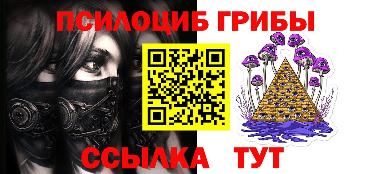 Сафоново  Галлюциногенные грибы прущие грибы  Вход с VPN  хочу   Галлюциногенные грибы прущие грибы 